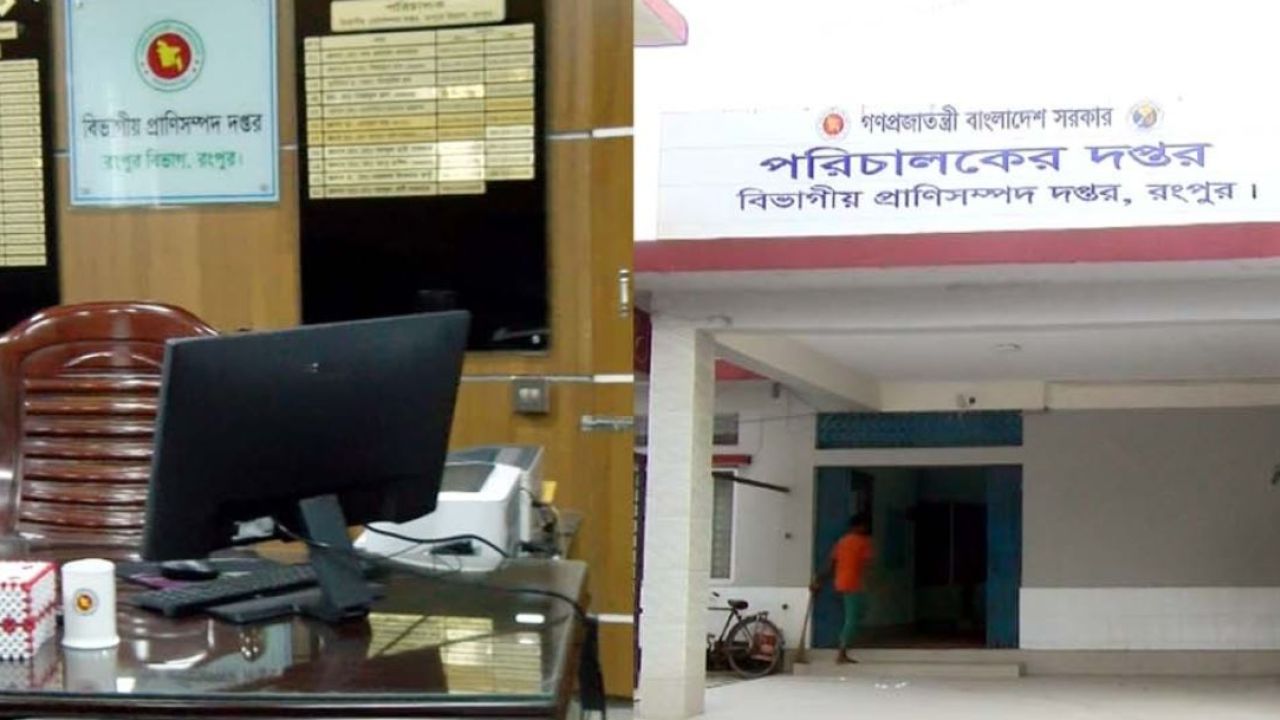 রংপুরে প্রাণিসম্পদ অফিসে এসব কী হচ্ছে?