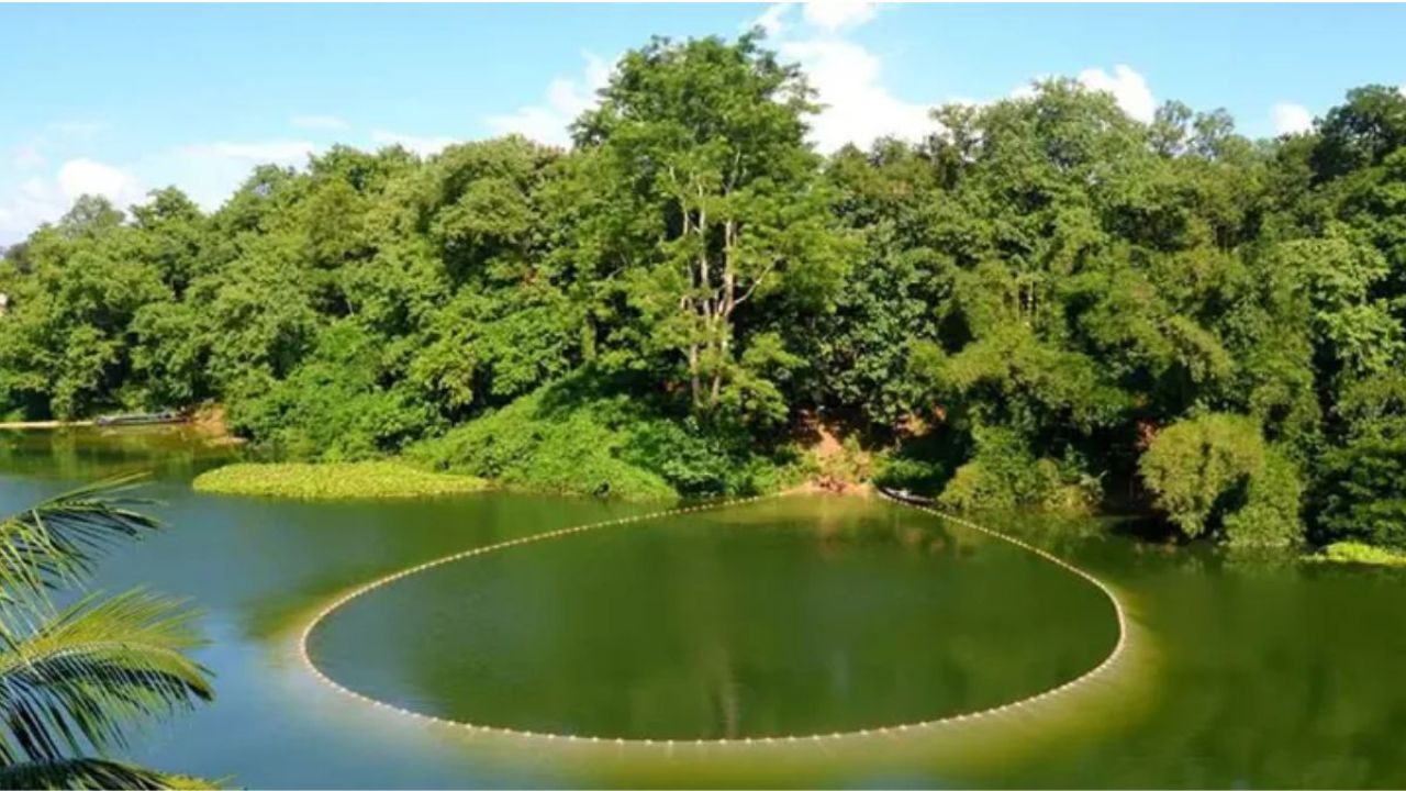 কাপ্তাই হ্রদে মাছ ধরা নিষেধাজ্ঞার মেয়াদ বাড়াল প্রশাসন