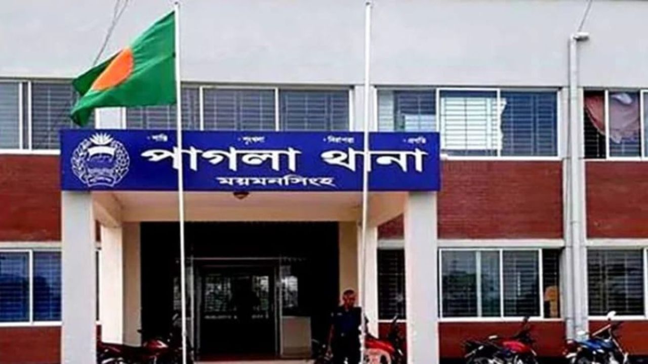 গফরগাঁওয়ে নাতিকে বাঁচাতে গিয়ে বৃদ্ধের মৃত্যু