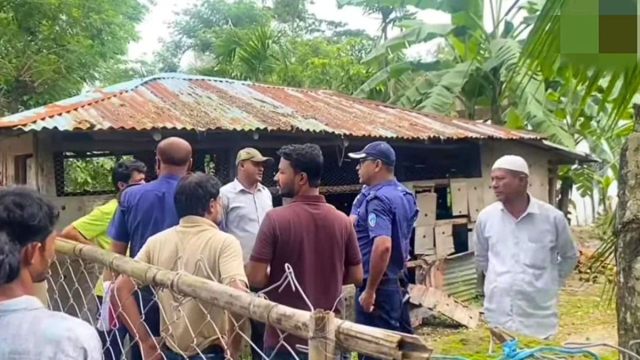 পেকুয়ায় অস্ত্রের মুখে ১৭ ভরি স্বর্ণ লুট