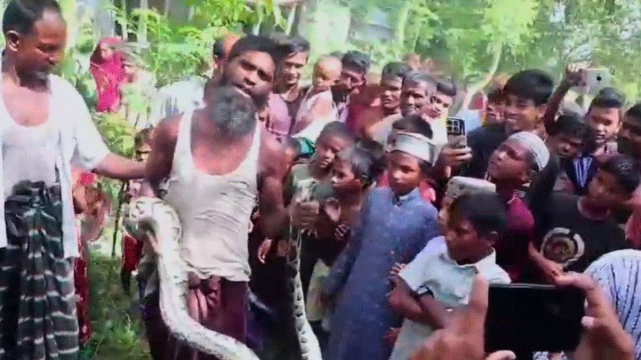 লোকালয়ে বিশাল অজগর