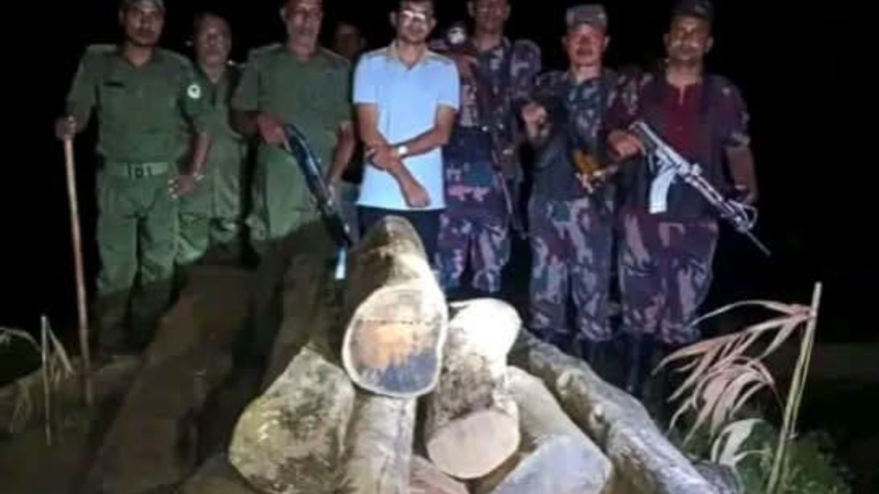২৭ ঘনফুট সেগুন কাঠ জব্দ কমলগঞ্জে