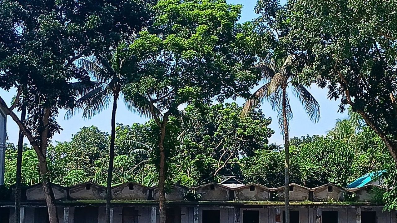 মাদ্রাসার পুরোনো ভবনে একাত্তরের ভয়াবহ স্মৃতি