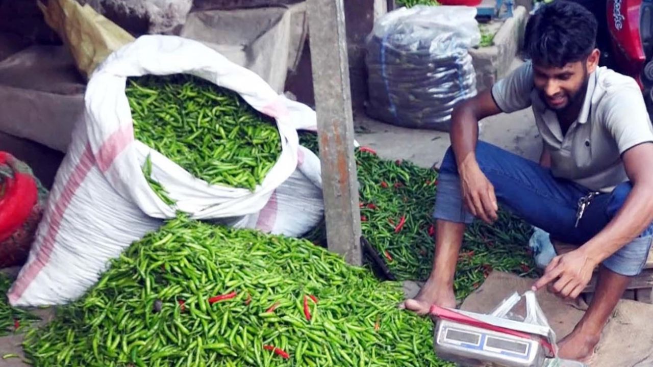 রংপুরে কাঁচামরিচ ৪০০ টাকা, জানে না ভোক্তা অধিদপ্তর!