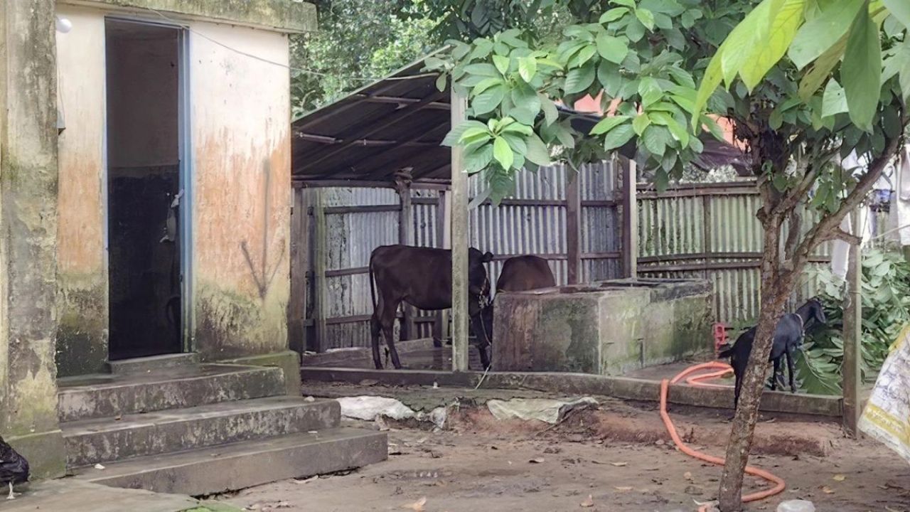 গ্যাসলাইনের জমিতে অবৈধ স্থাপনা