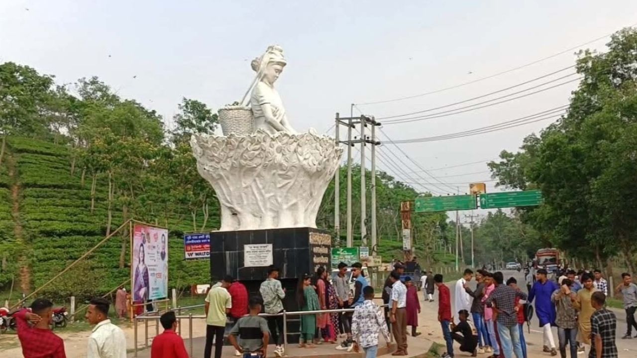 ‘চা কন্যা’র সঙ্গে ফটোফ্রেম, নিরাপত্তা চান পর্যটকেরা