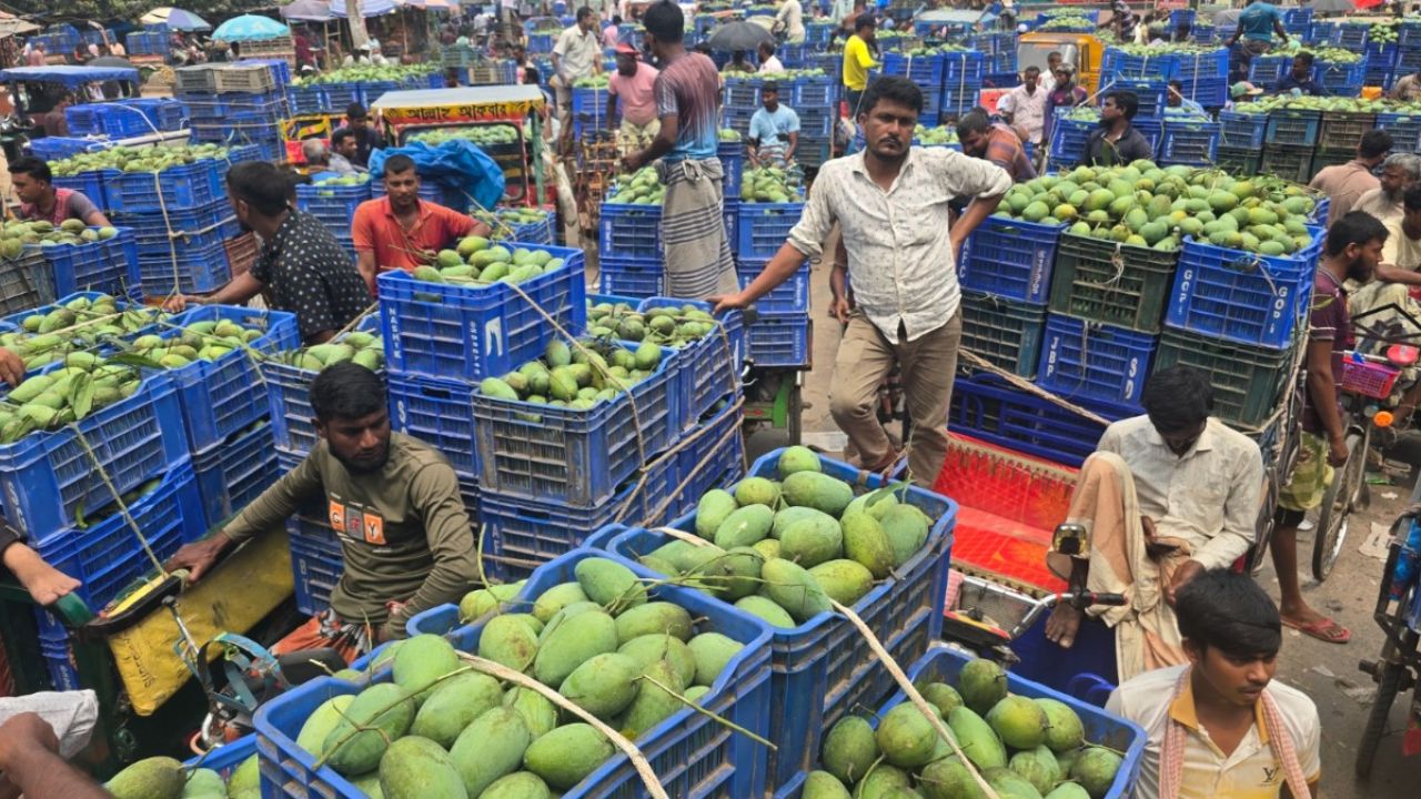মৌসুম শেষেও জমজমাট সাপাহার আমের বাজার 
