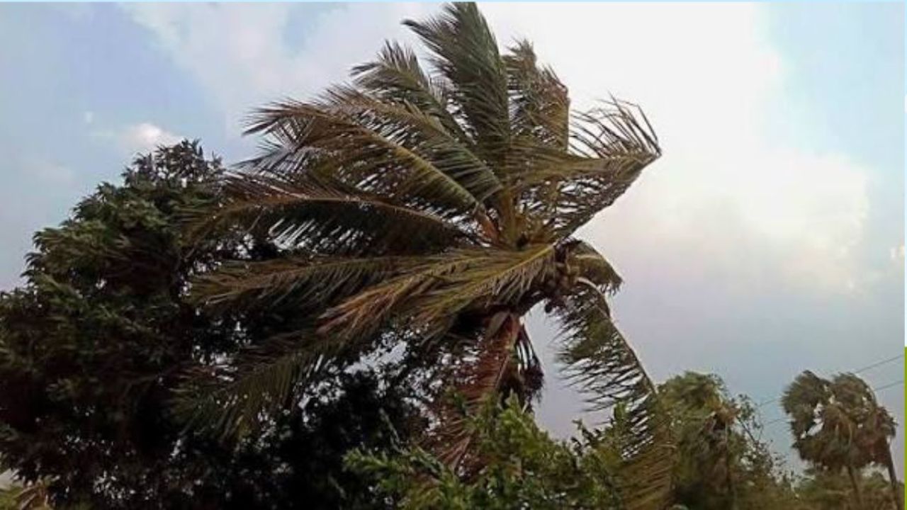 তিন অঞ্চলে ৬০ কিমি বেগে ঝড়ের আভাস
