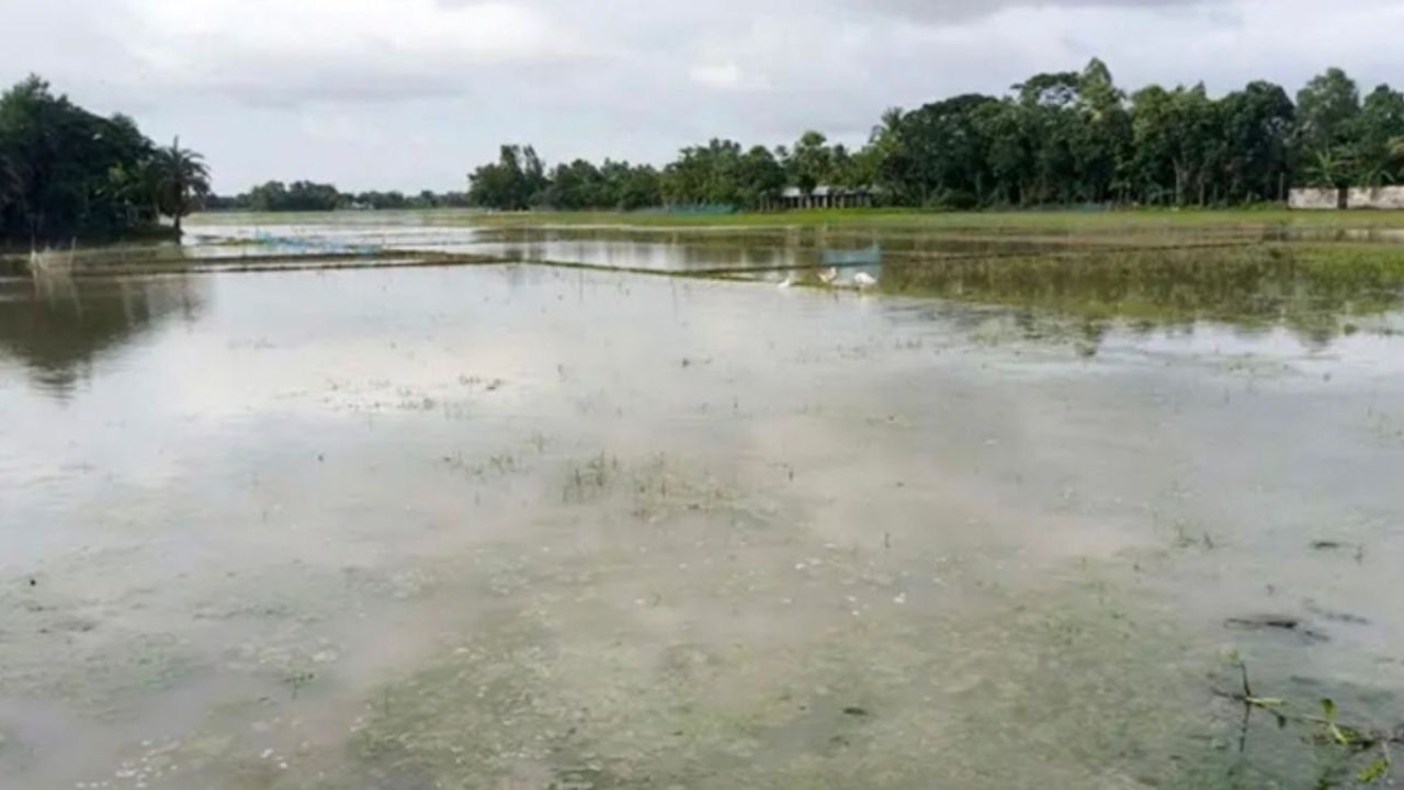 খালের দখলদারিত্বে তলিয়ে গেল কৃষকের স্বপ্ন