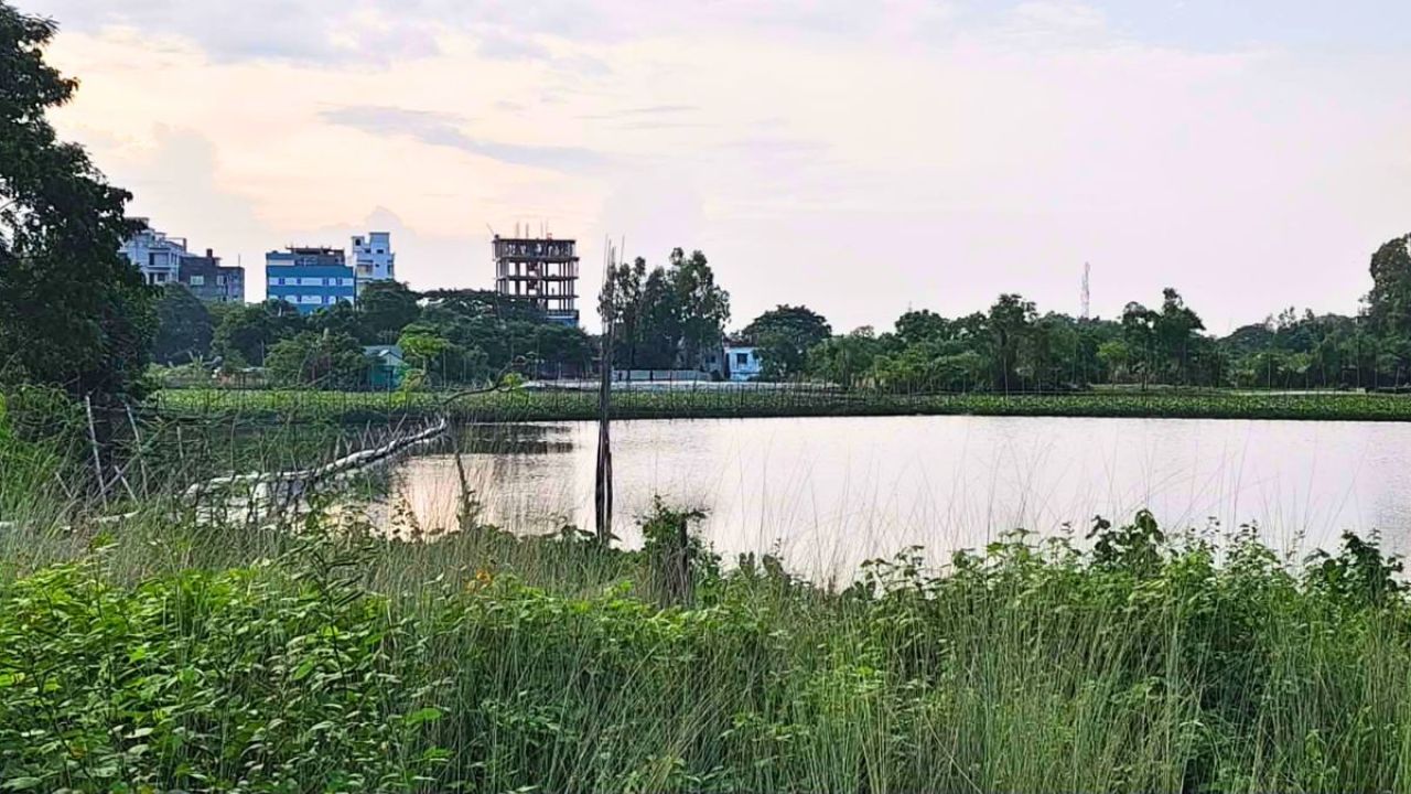 গোসলে নেমে খালের পানিতে ডুবে কিশোরীর মৃত্যু