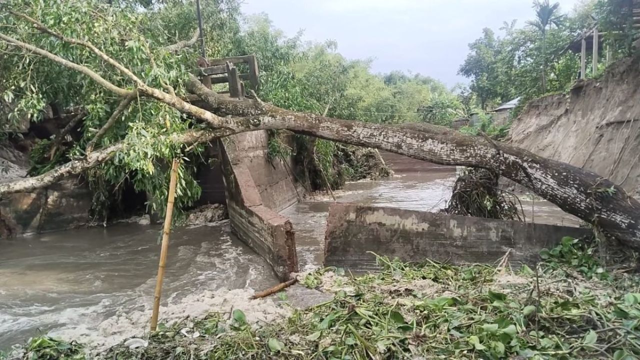 ডোমারে সামান্য ইঁদুরের গর্ত থেকে ভয়াবহ বিপর্যয়