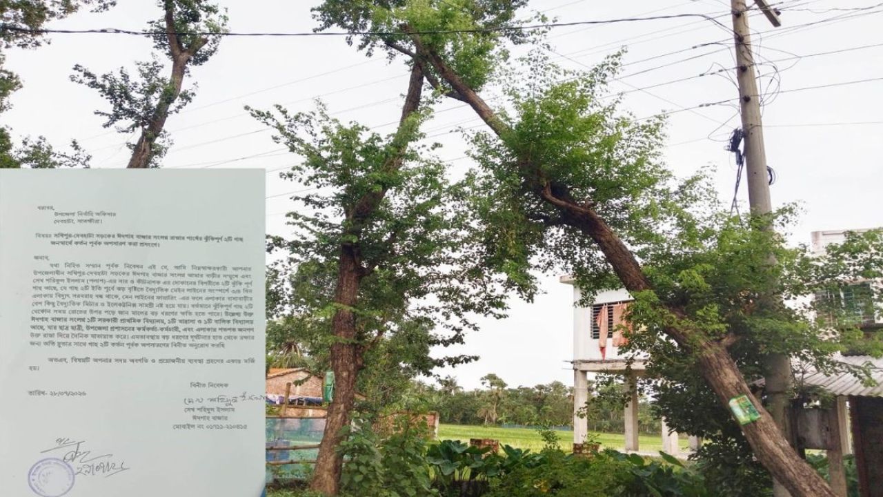 মাথার ওপর মরণফাঁদ নিয়ে দেবহাটায় আতঙ্কের পথচলা