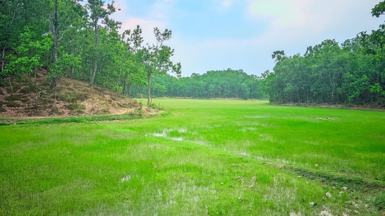 বাংলার সীমান্তেই যেন লুকিয়ে আছে ছোট মেঘালয়