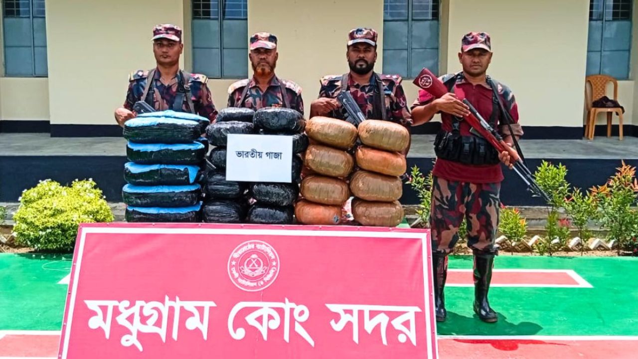 সীমান্তে সাড়ে ৬৩ কেজি ভারতীয় গাঁজা জব্দ