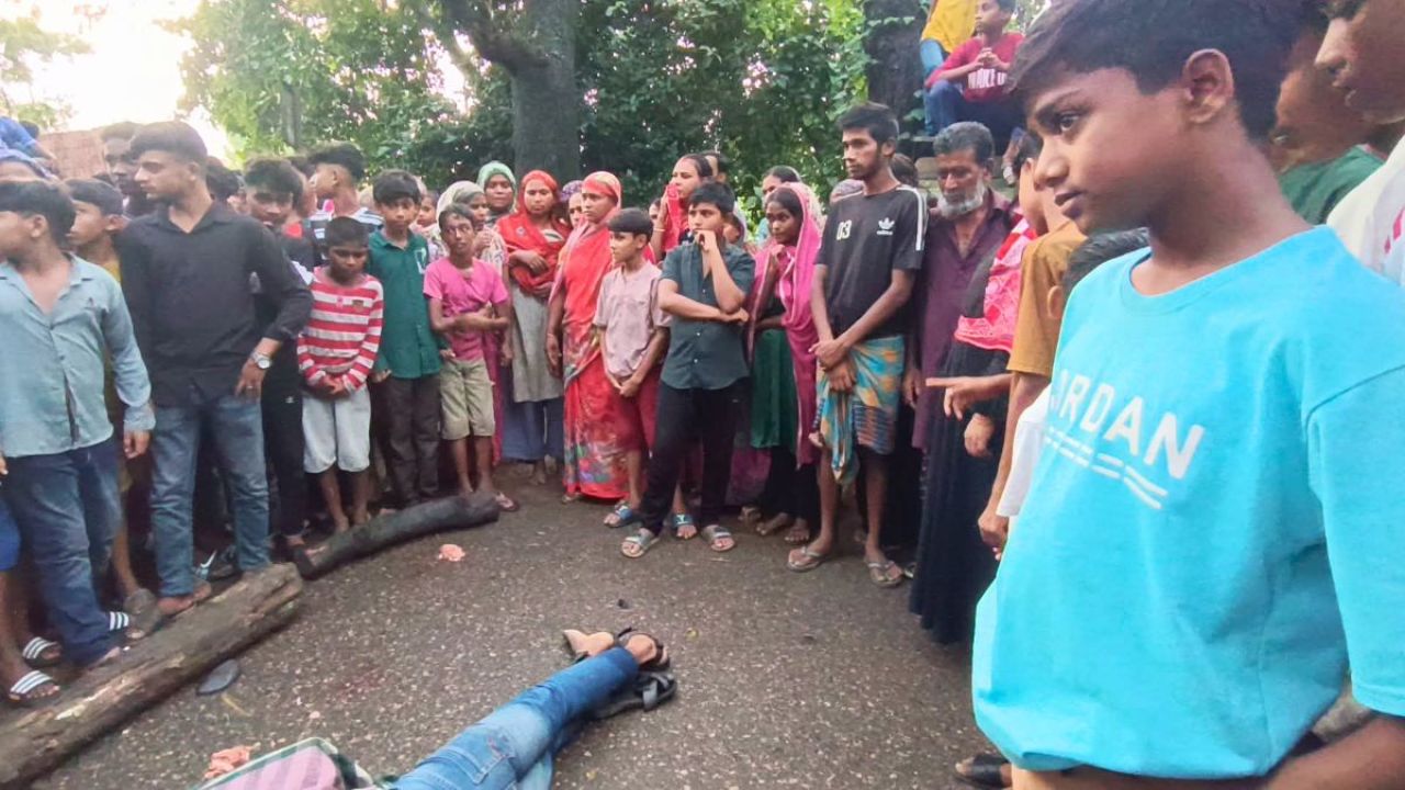 বাড়ি ফেরার পথে ট্রাকচাপায় প্রাণ গেল এনজিওকর্মীর