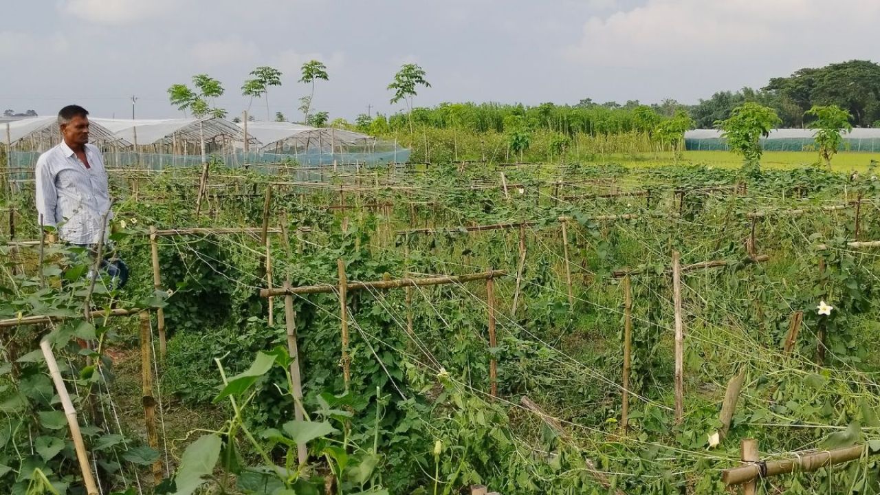 রাতের আঁধারে কৃষকের স্বপ্ন শেষ