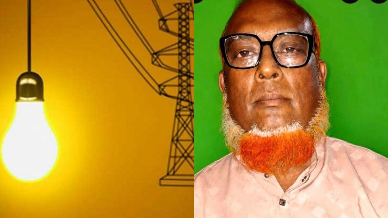 বকেয়া বিদ্যুৎ বিলের মামলায় বিএনপি নেতা গ্রেপ্তার