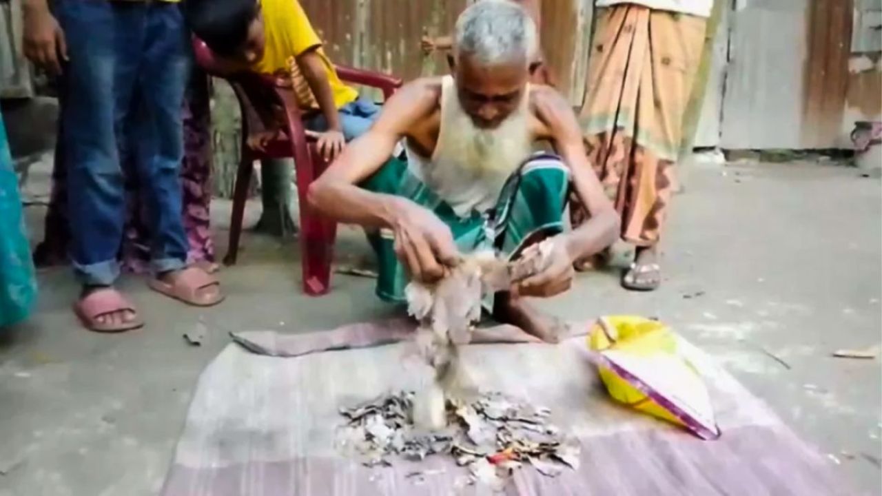 আলমারিতে জমানো ২ লাখ টাকা খেলো ইঁদুর-উইপোকা