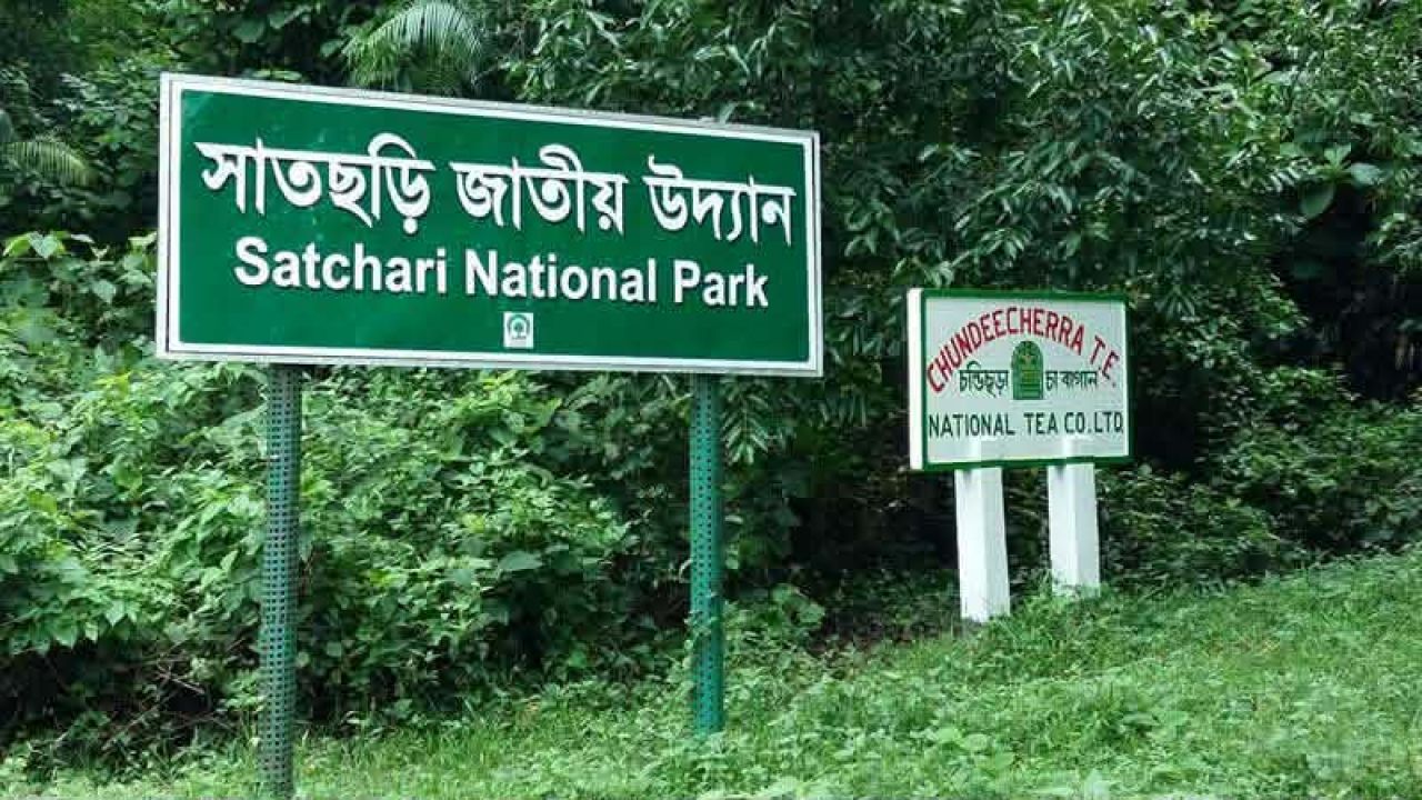অনিয়ন্ত্রিত বর্জ্যে হুমকির মুখে সাতছড়ি ও রামগঙ্গার পরিবেশ