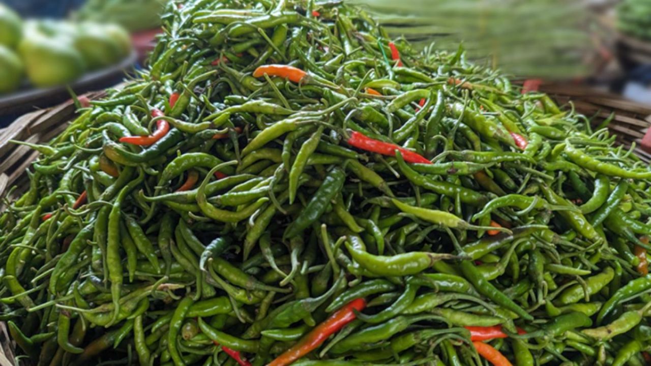 আমদানির পর কত হলো কাঁচা মরিচের দাম?