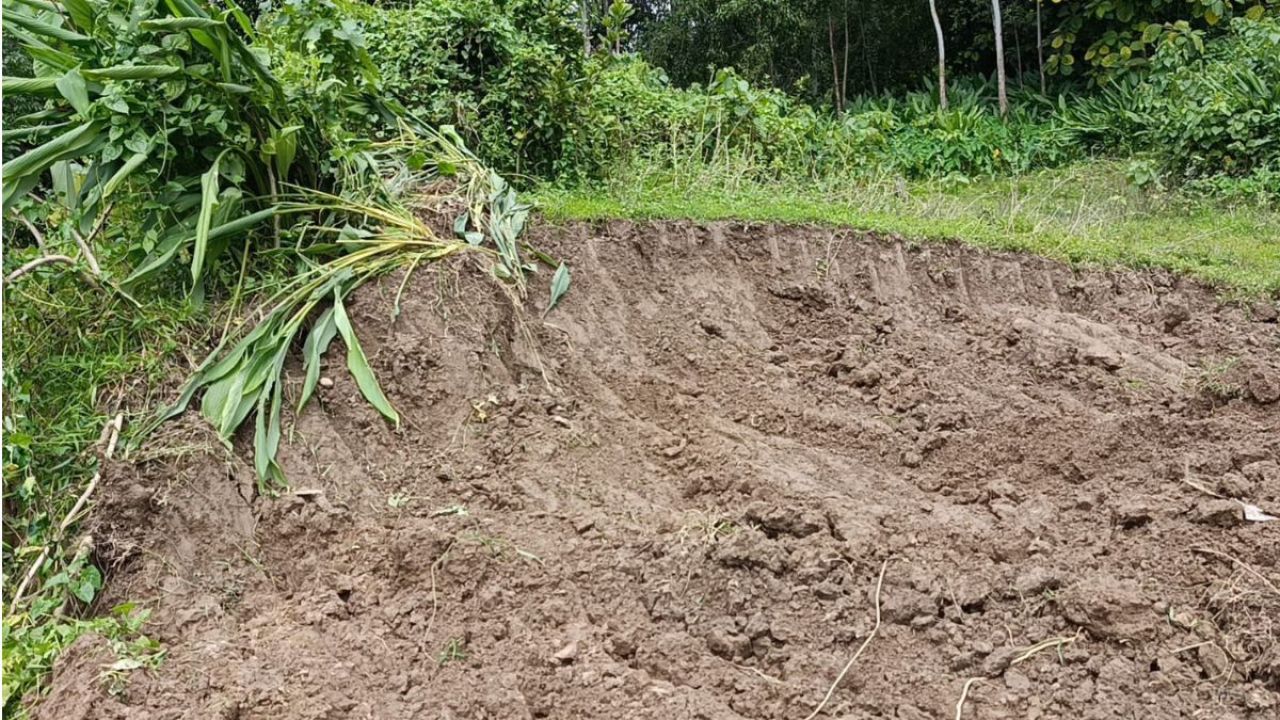পরশুরামে নদীর চর কেটে ইটভাটায় মাটি, থানায় পাউবোর অভিযোগ