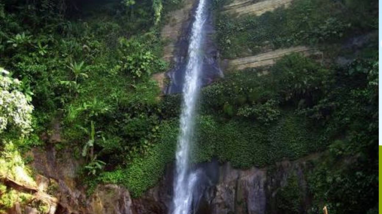 পাহাড়, অরণ্য আর জলধারার মিতালি মাধবকুণ্ডে