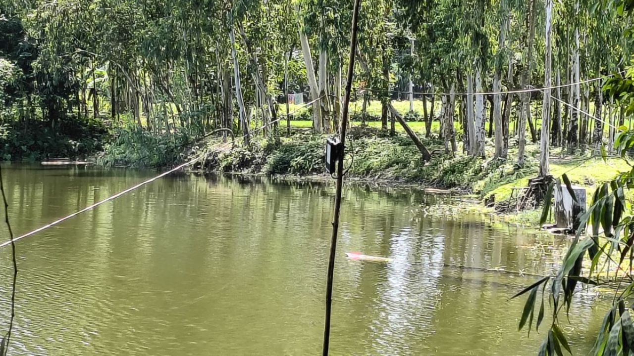 বিলে মাছ ধরতে গিয়ে বিদ্যুৎস্পৃষ্টে জেলের মৃত্যু