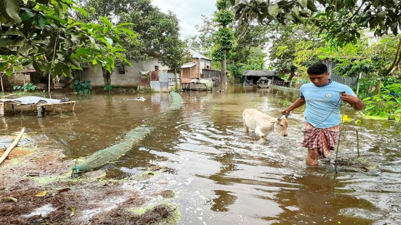 শেরপুরে ৫ বছর ধরে পানিবন্দি ৯ গ্রামের হাজারো মানুষ