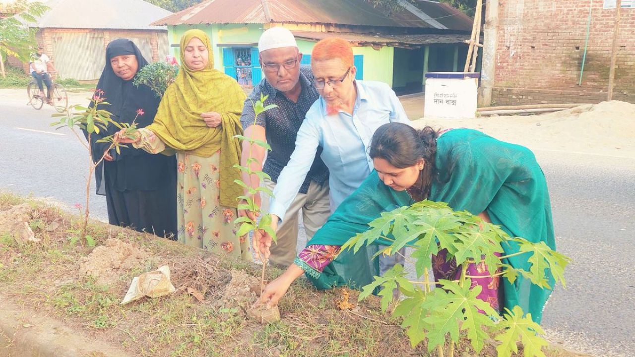 ঠাকুরগাঁওকে সাজানোর নজরকাড়া এক উদ্যোগ