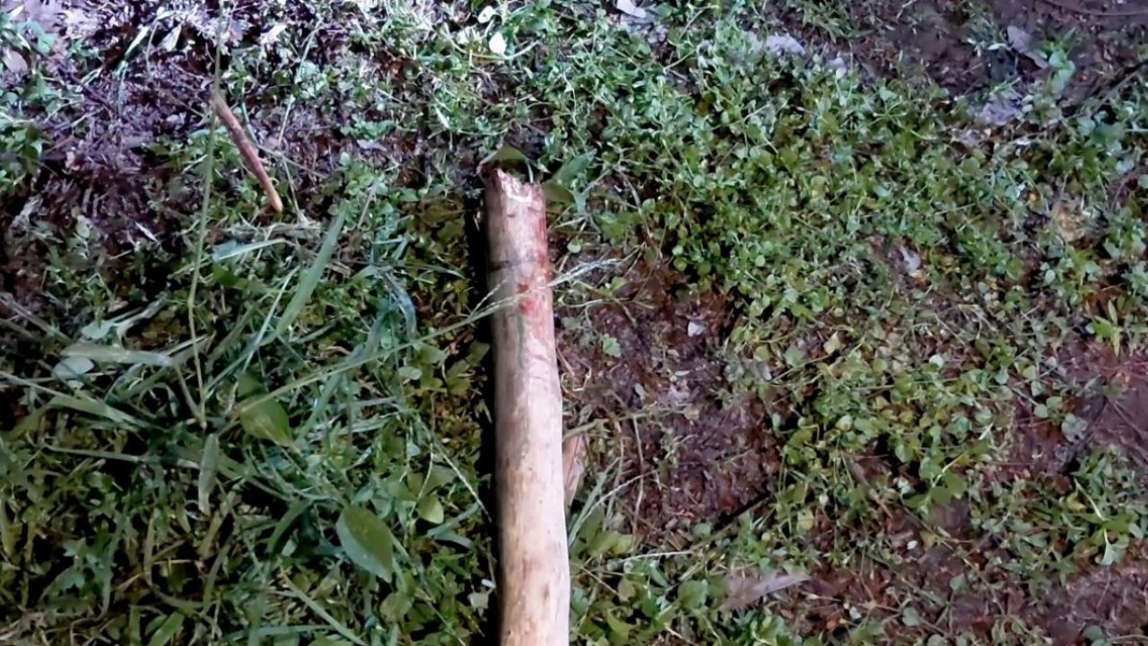 ঠাকুরগাঁওয়ে নিরাপত্তাকর্মী হত্যার আসামি গ্রেপ্তার বাবার সাহায্যে