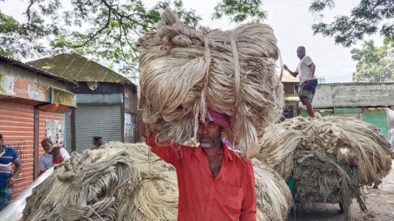 সোনালি আঁশে ফিরছে মানিকগঞ্জের পুরনো ঐতিহ্য 