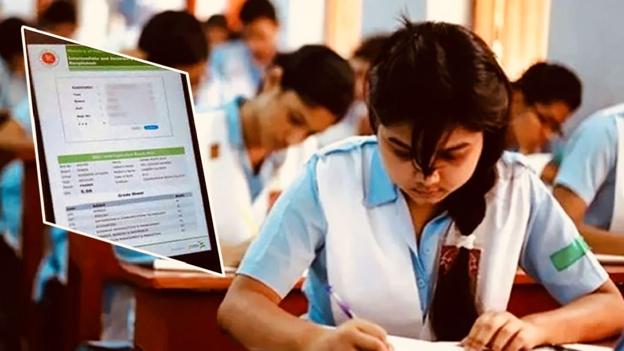 এসএসসির ফল পুনর্নিরীক্ষণে রেকর্ড আবেদন