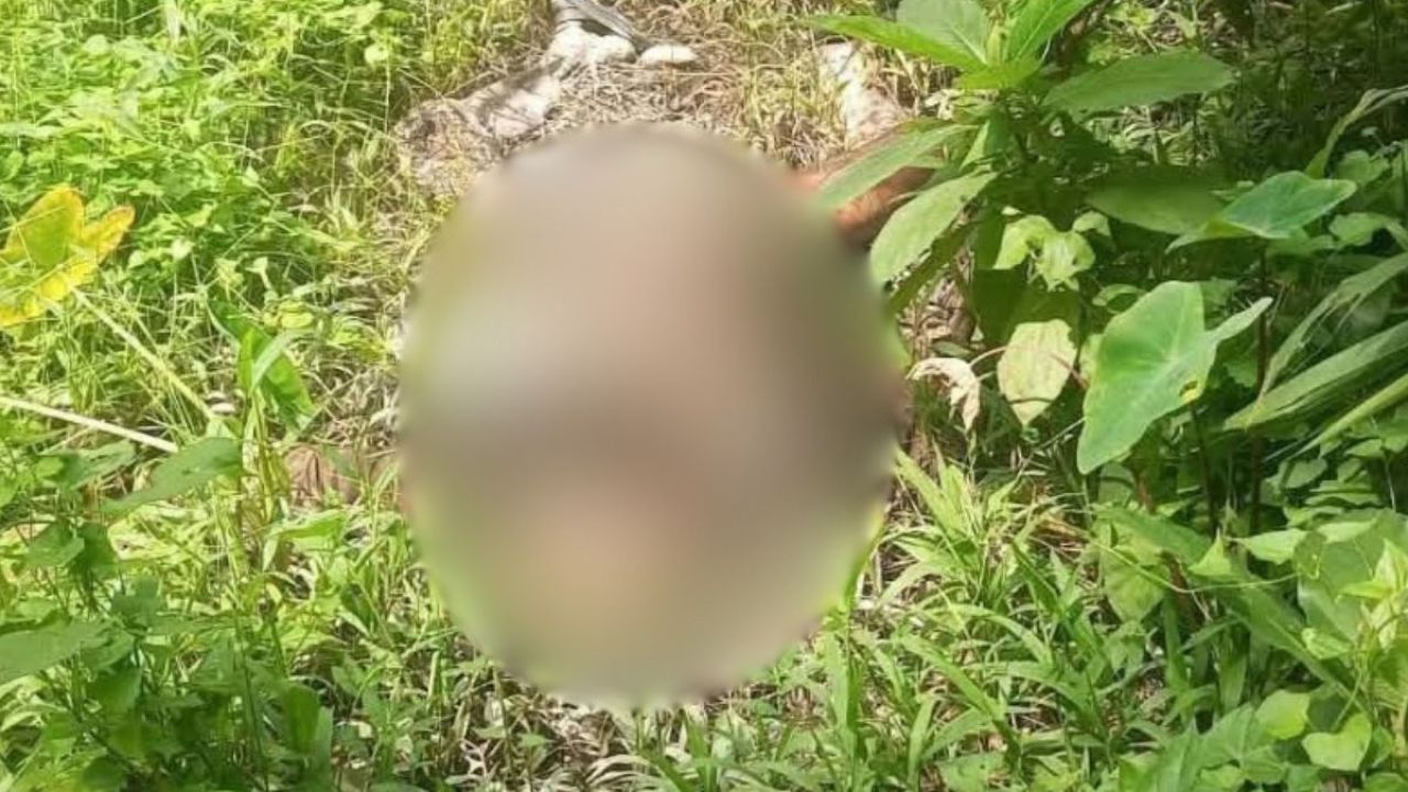 ডোবা থেকে আসছিল দুর্গন্ধ, মিলল মরদেহ