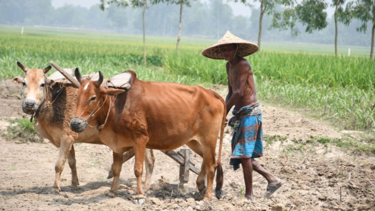 ক্ষেতমজুরদের মজুরি, সেকাল-একাল