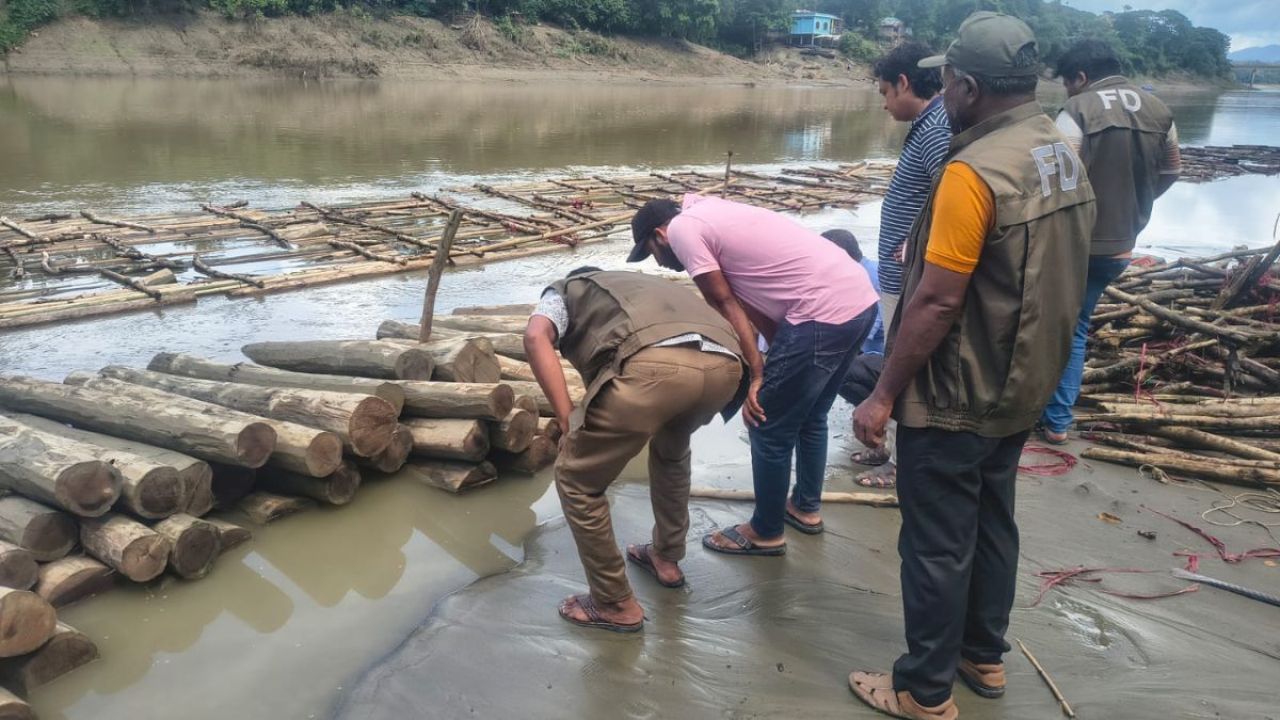 বান্দরবানে অবৈধ কাঠের বড় চালান জব্দ