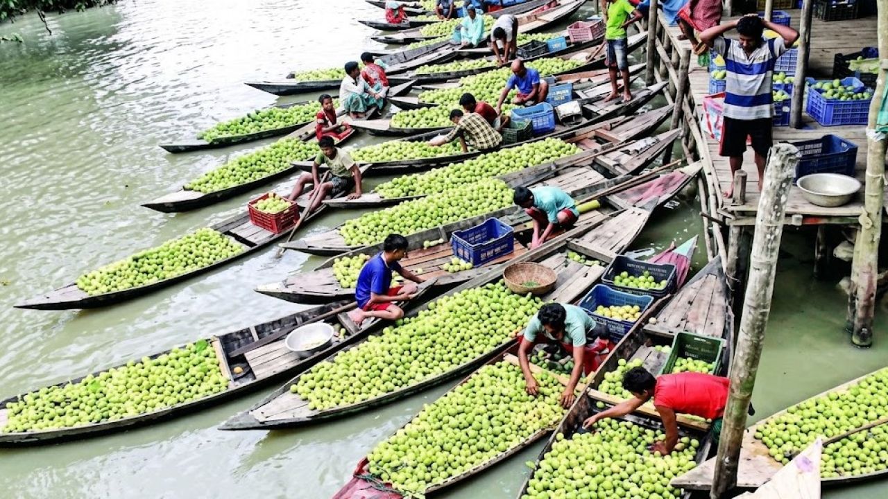 দক্ষিণের পেয়ারার রাজ্য হয়ে উঠতে পারে ‘পর্যটন ব্র্যান্ড’