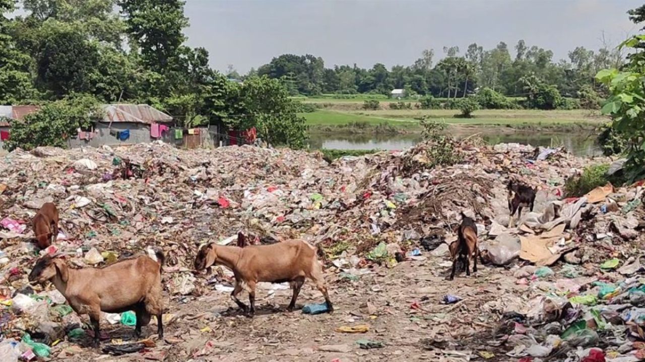 ১৫০ বছরেও হয়নি ভাগাড়, দুর্গন্ধে নাভিশ্বাস