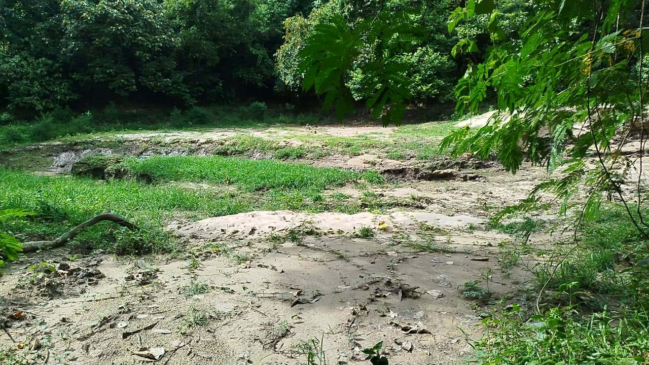পাহাড়ি ঢলে ভরাট সাতছড়ির পুকুর, সংকটে বন্যপ্রাণী