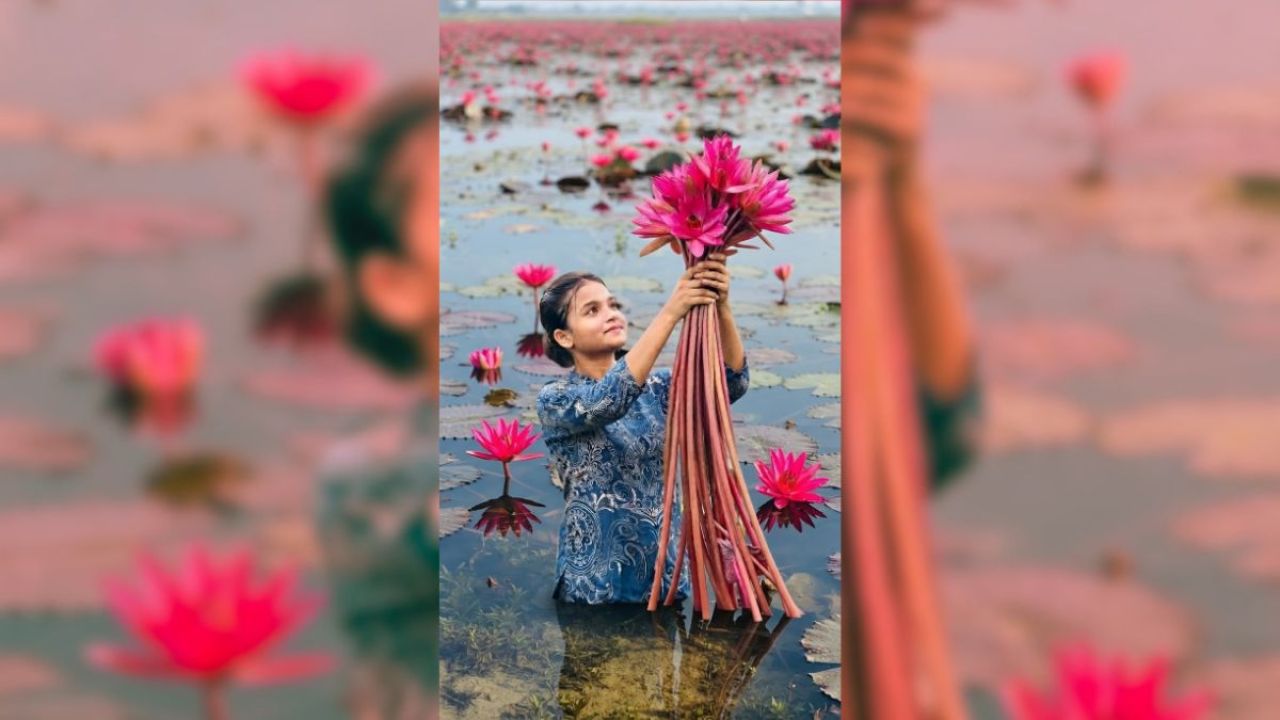 মানুষের অগোচরেই ফুরিয়ে যাচ্ছে পলাশের লাল শাপলা