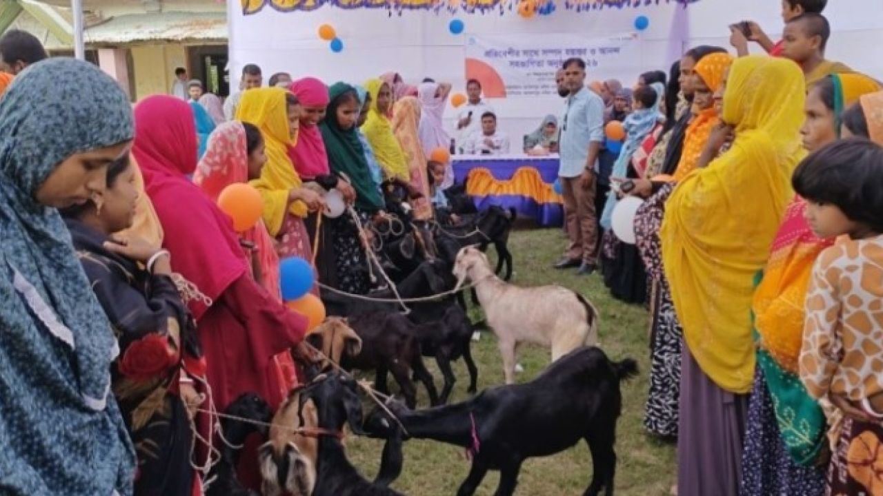 নিজের ছাগল প্রতিবেশীকে উপহার, ৩০০ পরিবারের অনন্য নজির