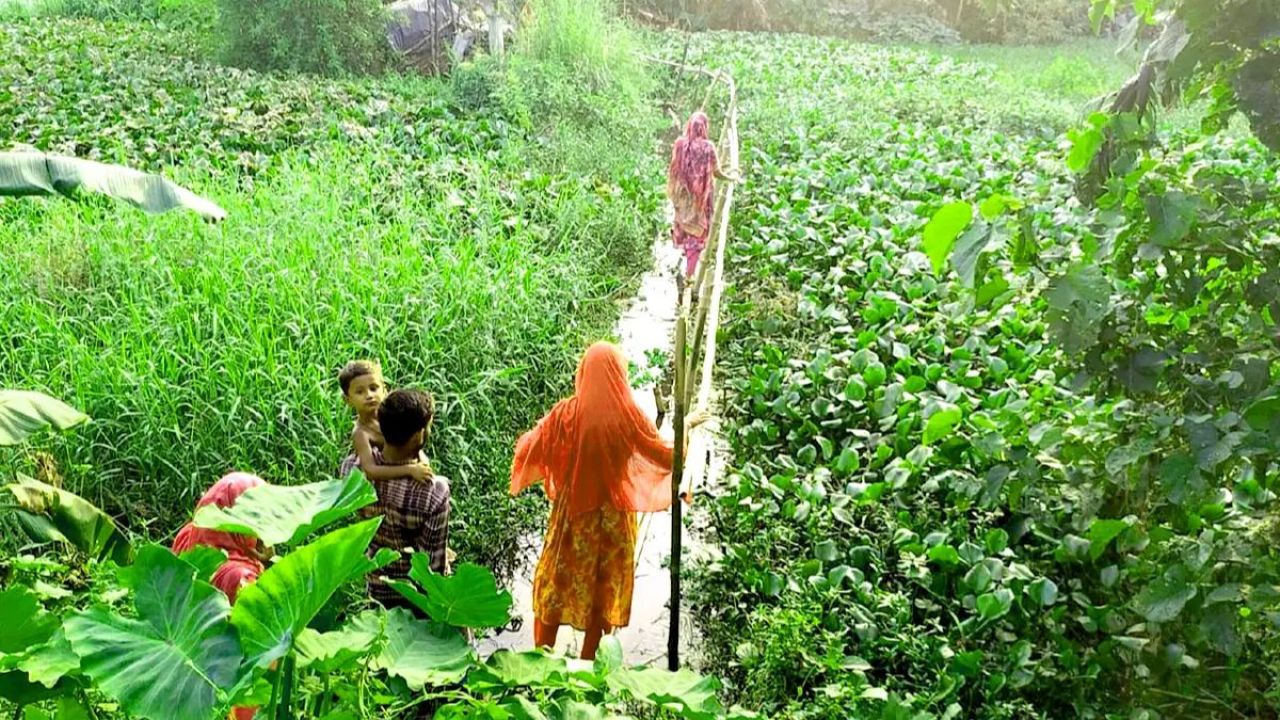 ৩৬ বছর ধরে একটি রাস্তার অপেক্ষায় ২৬টি পরিবার