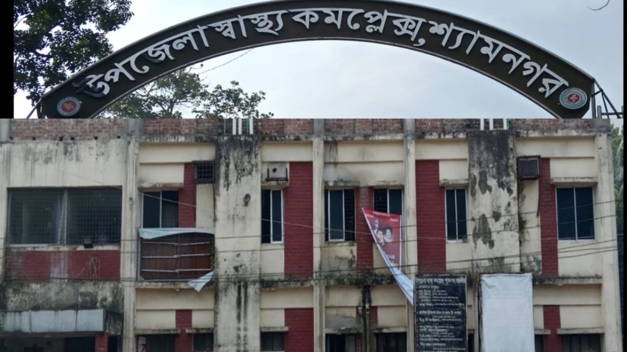 ঘুমের মধ্যেই সাপের কামড়, শিশুর মৃত্যু