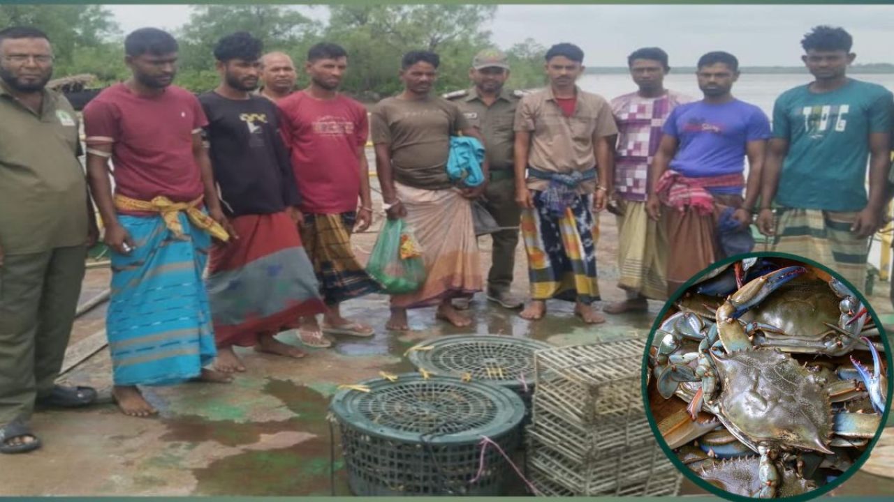 সুন্দরবনে নিষেধাজ্ঞা অমান্য করে কাঁকড়া শিকার, আটক ৮