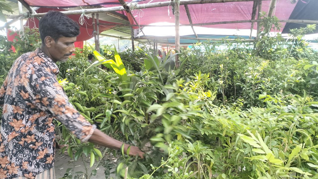বরিশালের বৃক্ষমেলায় বিক্রি নেই, লোকসানের শঙ্কায় ব্যবসায়ীরা