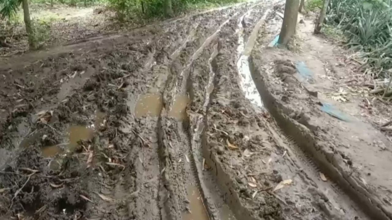 মধুপুরে কাঁচা সড়ক যেন মরণফাঁদ, চরম দুর্ভোগে ১২ গ্রাম