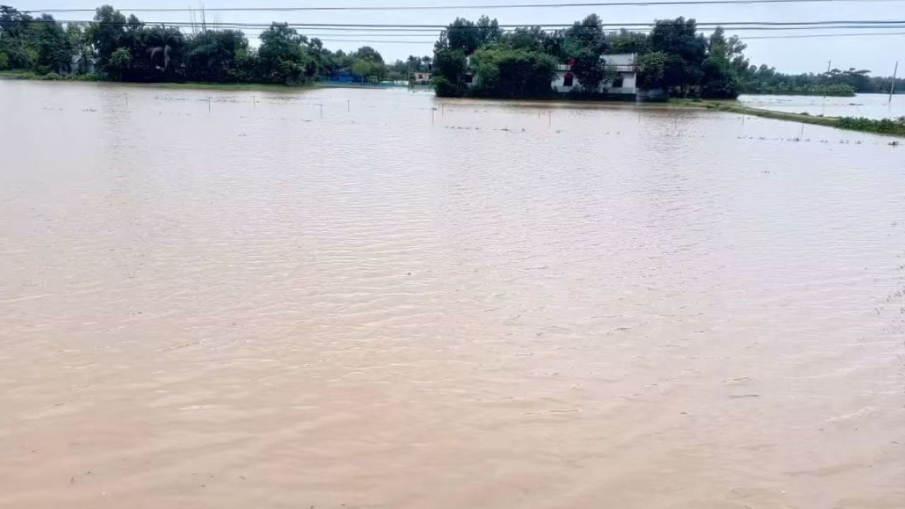 ত্রিপুরার বৃষ্টিতে আখাউড়ায় ঢল, তলিয়ে গেছে ধানি জমি