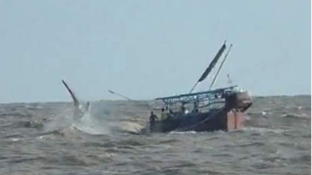 উত্তাল বঙ্গোপসাগরে ট্রলারডুবি, উদ্ধার ৮ ও নিখোঁজ ৫