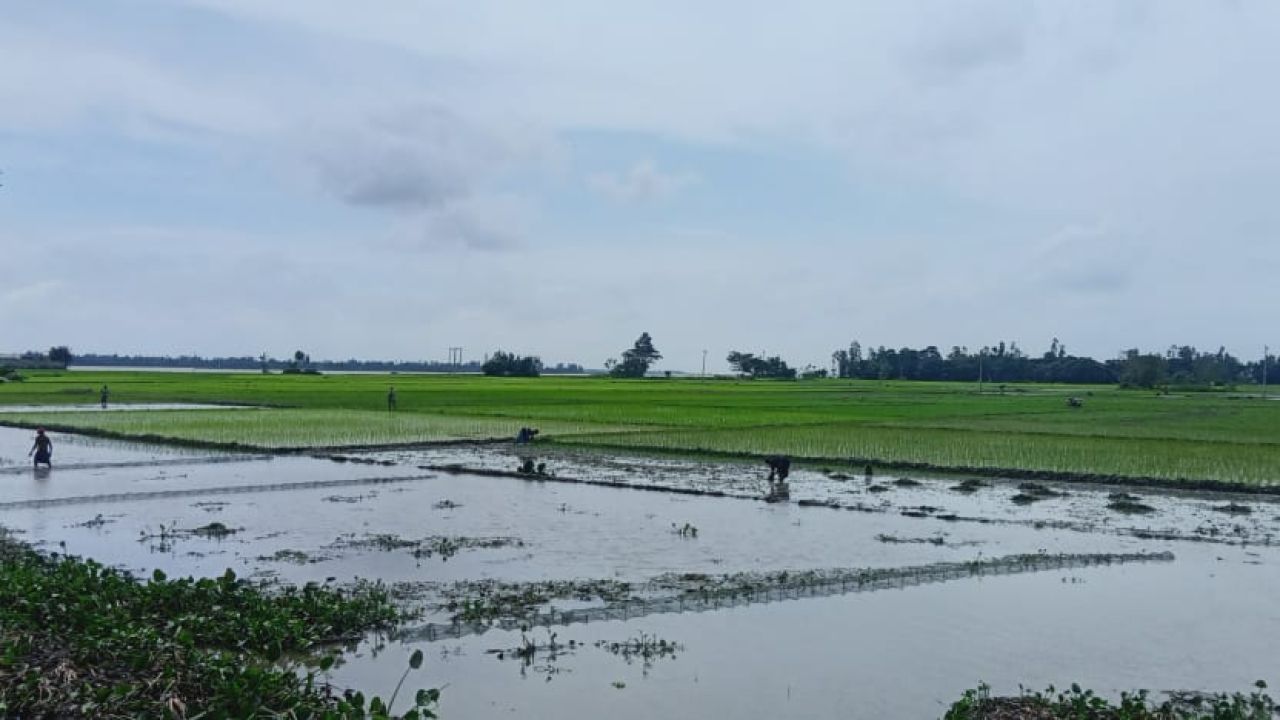 অবৈধ সার মজুত: ব্যবসায়ীর ১০ হাজার টাকা জরিমানা