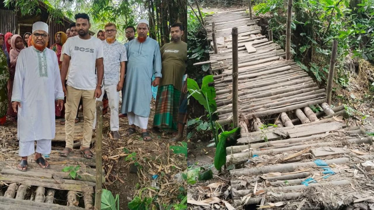 পৌর শহরের বুকেই বাঁশের সাঁকো, ৪০ পরিবারের ভরসা