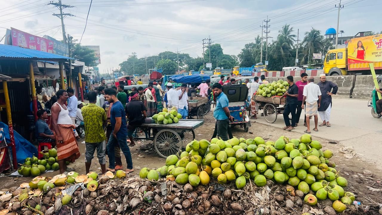 ফেনীর লালপুলে ডাবের বিশাল বাজার, মাসে কোটি টাকার কারবার